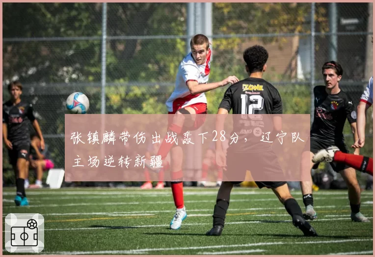 张镇麟带伤出战轰下28分，辽宁队主场逆转新疆
